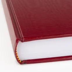 AT-A-GLANCE Standard Diary Daily Diary, 2027 Edition, Medium/College Rule, Red Cover, (200) 9.5 x 7.5 Sheets, 2027 Calendar