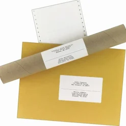 Avery Continuous Form Permanent Address Labels, 4076, Rectangle, 5" x 2 15/16", White, Box Of 3,000