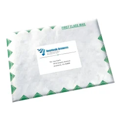 Avery Continuous Form Permanent Address Labels, 4076, Rectangle, 5