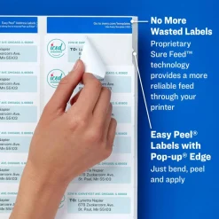 Avery Easy Peel Address Labels With Sure Feed Technology, 8160, Rectangle, 1