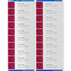 Avery Easy Peel Address Labels With Sure Feed Technology, 5161, Rectangle, 1