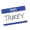 Avery "Hello My Name Is" Name Tags, 05141, 2-1/3" x 3-3/8", White With Blue Border, 100 Removable Name Badges