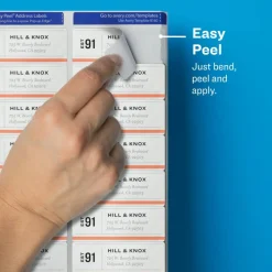 Avery Matte Address Labels With Sure Feed Technology, 18660, Rectangle, 1