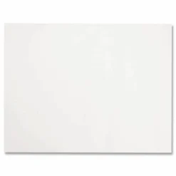 Bagcraft Silicone Parchment Pizza Baking Liner, 12 x 12, 1,000/Carton