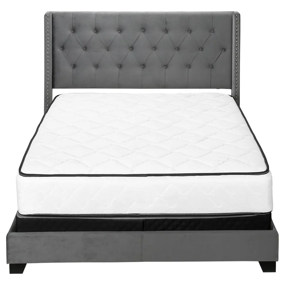 Bed, Queen Size, Bedroom, Frame, Upholstered, Grey Velvet, Chrome Trim, Transitional