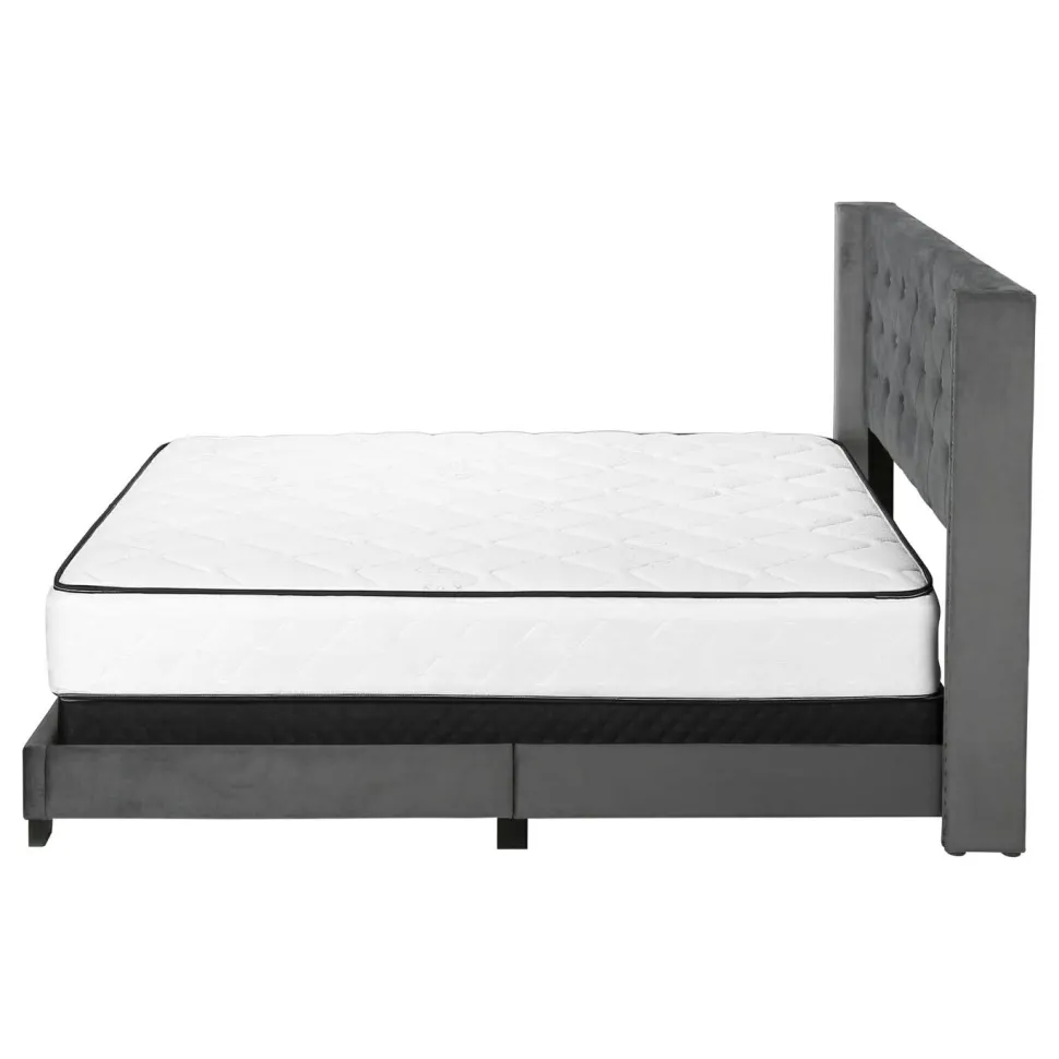 Bed, Queen Size, Bedroom, Frame, Upholstered, Grey Velvet, Chrome Trim, Transitional