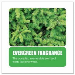 Big D Industries Non-Para Toilet Bowl Block, Lasts 30 Days, Evergreen Scent, White, 12/Box