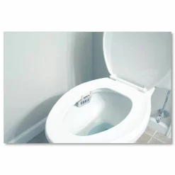 Big D Industries Non-Para Toilet Bowl Block, Lasts 30 Days, Evergreen Scent, White, 12/Box