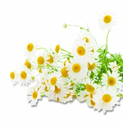 Bigelow Cozy Chamomile Herbal Tea Pods, 1.90 oz, 18/Box