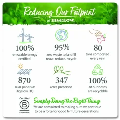Bigelow Green Tea Bags, Box Of 28 Bags