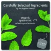 Bigelow steep Tea, Mint, 1.41 oz Tea Bag, 20/Box