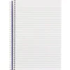 Blueline Steno Notes Notebook, Gregg Rule, Blue/White Cover, (180) 9 x 6 Sheets