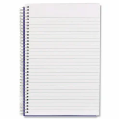 Blueline Steno Notes Notebook, Gregg Rule, Blue/White Cover, (180) 9 x 6 Sheets
