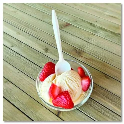 Boardwalk Mediumweight Polypropylene Cutlery, Spoon, 5.31