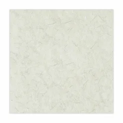 Boardwalk Natural Burnishing Floor Pads, 20" Diameter, White, 5/Carton