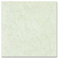 Boardwalk Natural Burnishing Floor Pads, 21