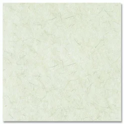 Boardwalk Natural Burnishing Floor Pads, 17