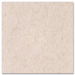 Boardwalk Natural Hog Hair Burnishing Floor Pads, 19