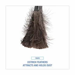 Boardwalk Ostrich Feather Duster, 9