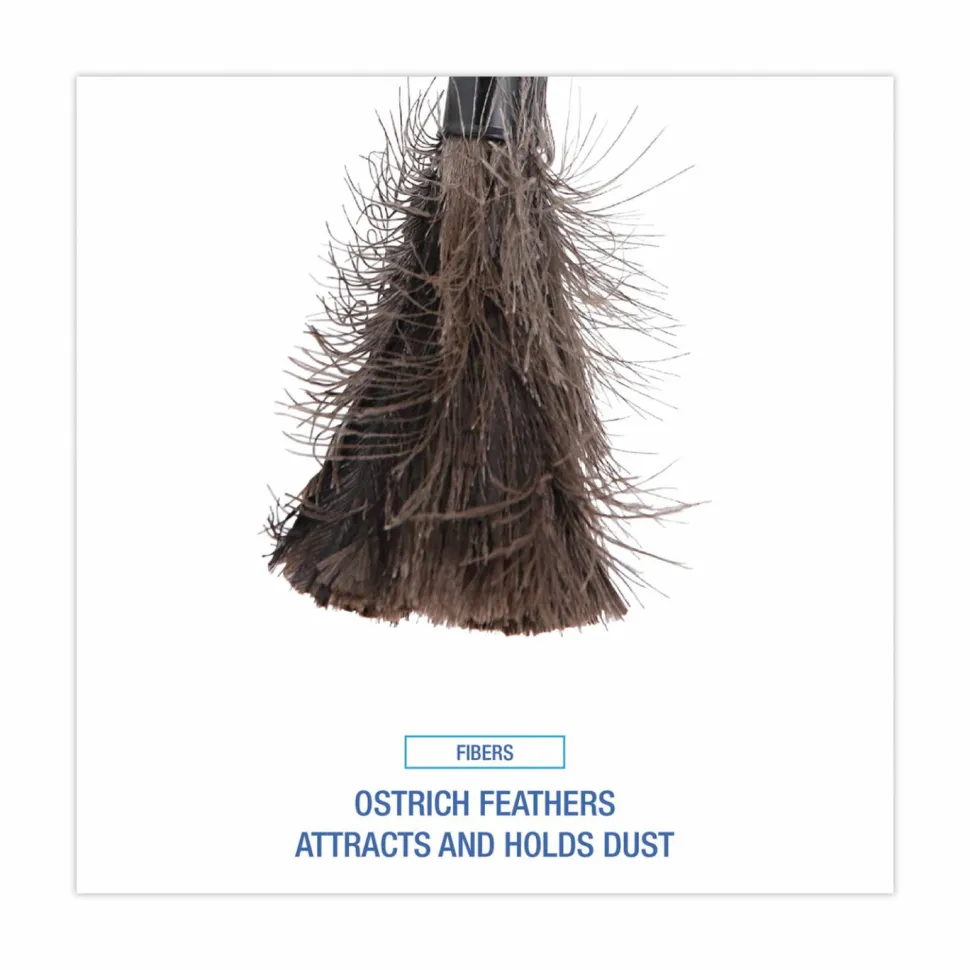 Boardwalk Ostrich Feather Duster, 9" to 14" Retractable Plastic Handle
