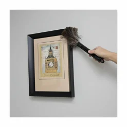 Boardwalk Ostrich Feather Duster, 9