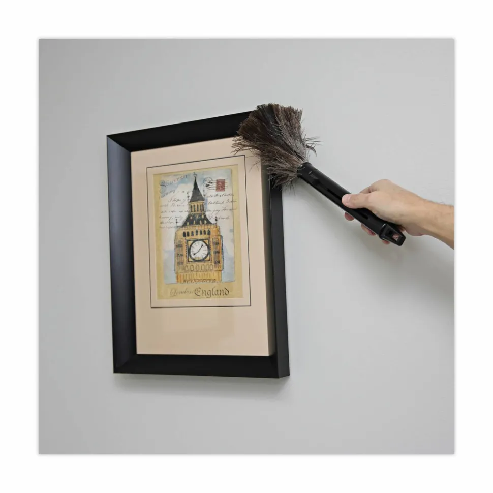 Boardwalk Ostrich Feather Duster, 9" to 14" Retractable Plastic Handle