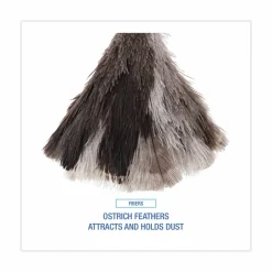 Boardwalk Professional Ostrich Feather Duster, 7" Wood Handle