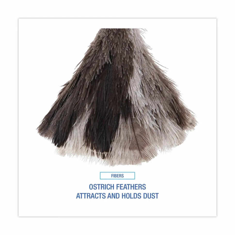 Boardwalk Professional Ostrich Feather Duster, 7" Wood Handle