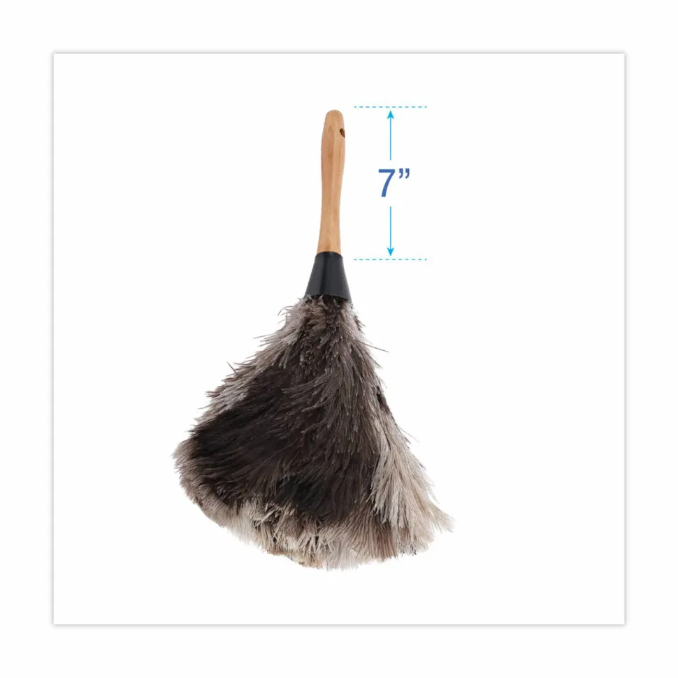 Boardwalk Professional Ostrich Feather Duster, 7" Wood Handle