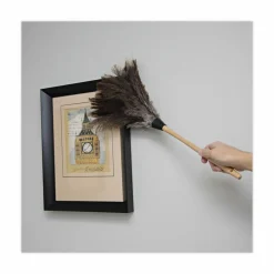 Boardwalk Professional Ostrich Feather Duster, 13" Wood Handle