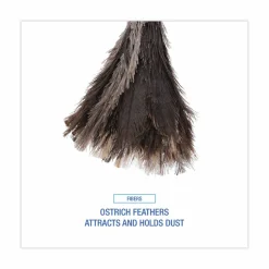 Boardwalk Professional Ostrich Feather Duster, 13