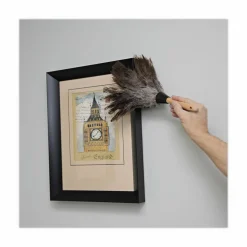 Boardwalk Professional Ostrich Feather Duster, 6
