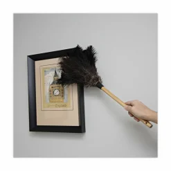 Boardwalk Professional Ostrich Feather Duster, 10