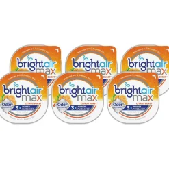 Bright Air Max Scented Gel Odor Eliminator
