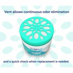 Bright Air Super Odor Eliminator Air Freshener