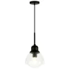 Brooks 8.12" Wide Pendant with Glass Shade in Blackened Bronze /Seeded