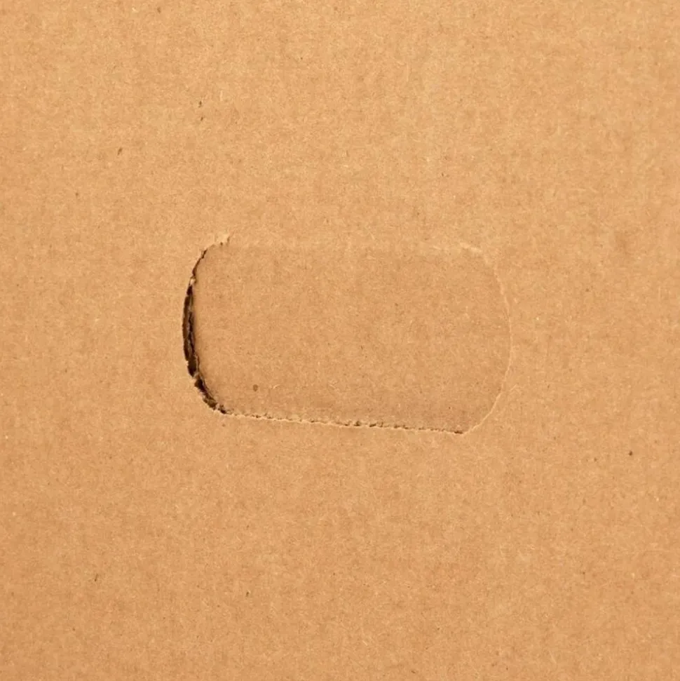 Business Source Economy Storage Box with Lid - External Dimensions: 12"x 15" Depth x 10" - 350 lb - Media Size Supported: Legal, Letter - 42051