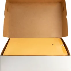Business Source Heavy-duty Clasp Envelopes - Clasp - #93 - 9 1/2