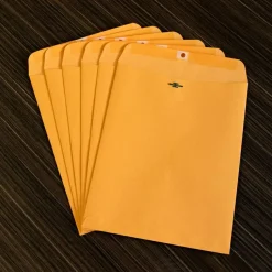 Business Source Heavy-duty Clasp Envelopes - Clasp - #93 - 9 1/2