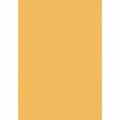 Business Source Heavy-duty Metal Clasp Envelopes - Clasp - #55 - 6
