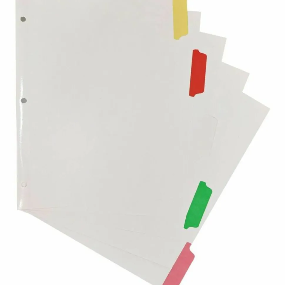 Business Source Laminated Write-On Tab Indexes - 5 Write-on Tab(s) - 5 Tab(s)/Set - 11" Tab x 8.50" Ta - 20074