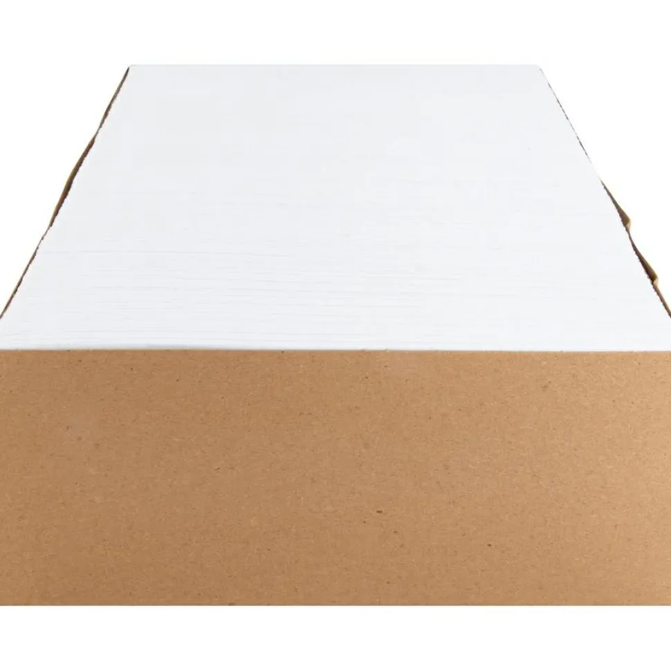 Business Source No. 9 Double Window Invoice Envelopes - Double Window - #9 - 8 7/8" Width x 3 7/8" Length - 24 lb - Self-sealing - White - 500 / Box