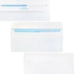 Business Source No. 9 Double Window Invoice Envelopes - Double Window - #9 - 8 7/8