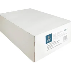 Business Source No. 9 Double Window Invoice Envelopes - Double Window - #9 - 8 7/8