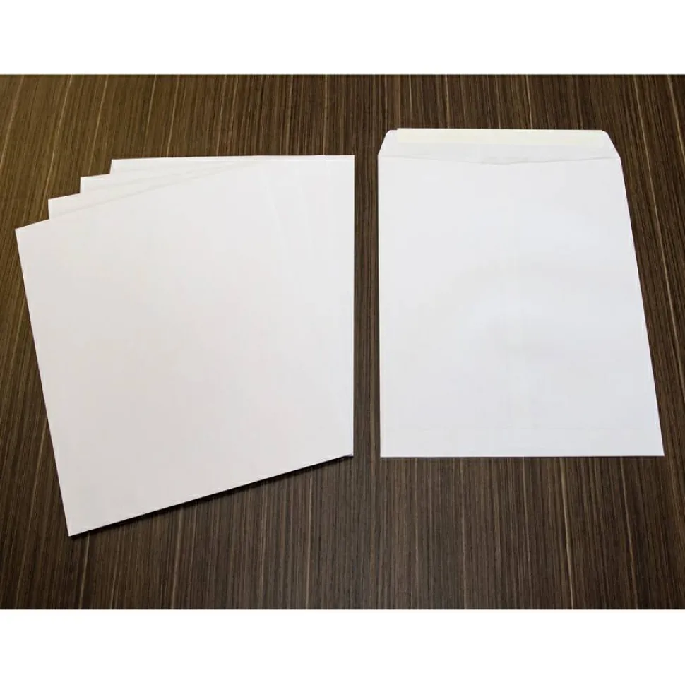 Business Source Self Sealing Catalog Envelopes - Catalog - 10" Width x 13" Length - 28 lb - Peel & Seal - White - Wove - 100 / Box