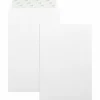 Business Source Self-Seal 6"x9" Catalog Envelopes - Catalog - 6" Width x 9" Length - 28 lb - Self-sealing - White - Wove - 100 / Box