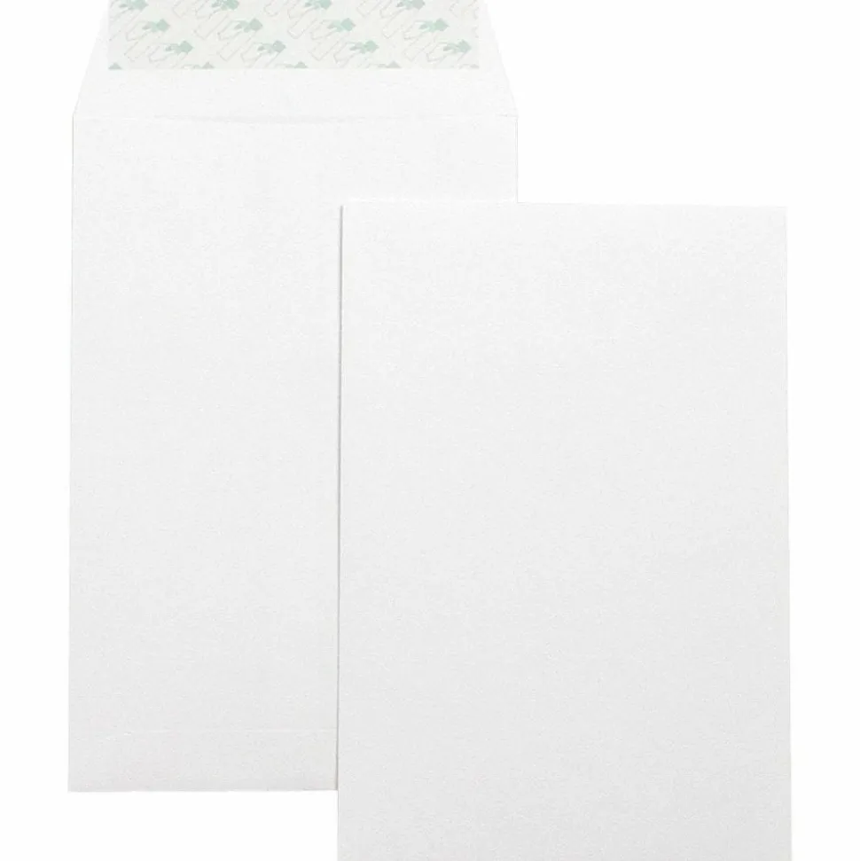 Business Source Self-Seal 6"x9" Catalog Envelopes - Catalog - 6" Width x 9" Length - 28 lb - Self-sealing - White - Wove - 100 / Box