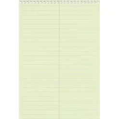 Business Source Steno Notebook
