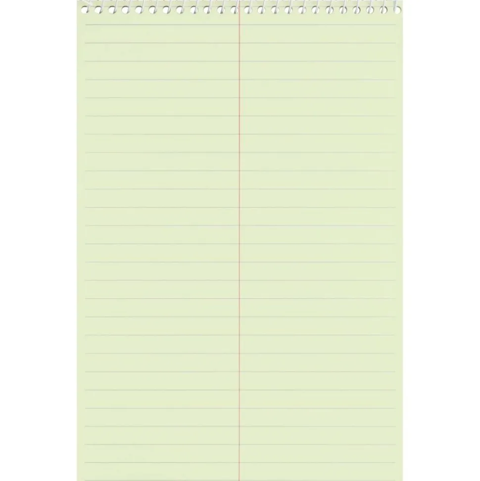 Business Source Steno Notebook