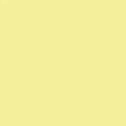 Canary Legal Pad 8.5